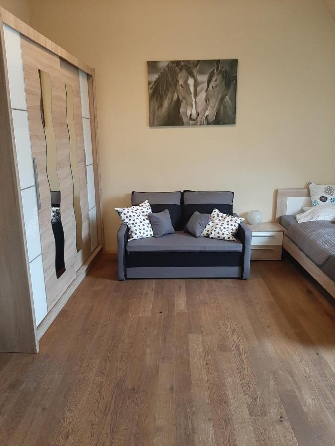 Apartamenty Marco - Stare Miasto - Super Wi Fi 克拉科夫 外观 照片